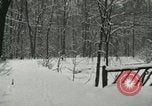 Standbild Schneebedeckter Wald mit Schnee fallen New York United States USA, 1919, aus Sekunde 28 historischem Filmmaterial Videoclip 65675078142