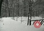 Standbild Schneebedeckter Wald mit Schnee fallen New York United States USA, 1919, aus Sekunde 29 historischem Filmmaterial Videoclip 65675078142