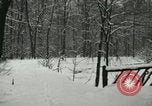 Standbild Schneebedeckter Wald mit Schnee fallen New York United States USA, 1919, aus Sekunde 30 historischem Filmmaterial Videoclip 65675078142