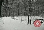 Standbild Schneebedeckter Wald mit Schnee fallen New York United States USA, 1919, aus Sekunde 31 historischem Filmmaterial Videoclip 65675078142