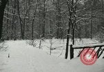 Standbild Schneebedeckter Wald mit Schnee fallen New York United States USA, 1919, aus Sekunde 32 historischem Filmmaterial Videoclip 65675078142
