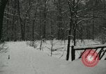 Standbild Schneebedeckter Wald mit Schnee fallen New York United States USA, 1919, aus Sekunde 33 historischem Filmmaterial Videoclip 65675078142