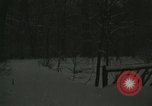 Standbild Schneebedeckter Wald mit Schnee fallen New York United States USA, 1919, aus Sekunde 35 historischem Filmmaterial Videoclip 65675078142