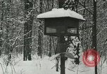 Standbild Schneebedeckter Wald mit Schnee fallen New York United States USA, 1919, aus Sekunde 37 historischem Filmmaterial Videoclip 65675078142