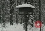 Standbild Schneebedeckter Wald mit Schnee fallen New York United States USA, 1919, aus Sekunde 38 historischem Filmmaterial Videoclip 65675078142