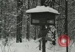 Standbild Schneebedeckter Wald mit Schnee fallen New York United States USA, 1919, aus Sekunde 39 historischem Filmmaterial Videoclip 65675078142