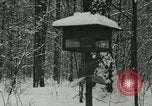 Standbild Schneebedeckter Wald mit Schnee fallen New York United States USA, 1919, aus Sekunde 40 historischem Filmmaterial Videoclip 65675078142