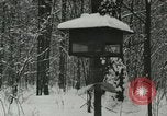 Standbild Schneebedeckter Wald mit Schnee fallen New York United States USA, 1919, aus Sekunde 41 historischem Filmmaterial Videoclip 65675078142