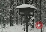 Standbild Schneebedeckter Wald mit Schnee fallen New York United States USA, 1919, aus Sekunde 42 historischem Filmmaterial Videoclip 65675078142