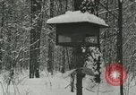 Standbild Schneebedeckter Wald mit Schnee fallen New York United States USA, 1919, aus Sekunde 43 historischem Filmmaterial Videoclip 65675078142