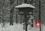 Standbild Schneebedeckter Wald mit Schnee fallen New York United States USA, 1919, aus Sekunde 44 historischem Filmmaterial Videoclip 65675078142