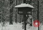 Standbild Schneebedeckter Wald mit Schnee fallen New York United States USA, 1919, aus Sekunde 47 historischem Filmmaterial Videoclip 65675078142