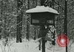 Standbild Schneebedeckter Wald mit Schnee fallen New York United States USA, 1919, aus Sekunde 48 historischem Filmmaterial Videoclip 65675078142
