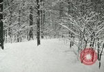 Standbild Schneebedeckter Wald mit Schnee fallen New York United States USA, 1919, aus Sekunde 51 historischem Filmmaterial Videoclip 65675078142