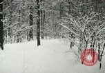 Standbild Schneebedeckter Wald mit Schnee fallen New York United States USA, 1919, aus Sekunde 52 historischem Filmmaterial Videoclip 65675078142