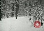 Standbild Schneebedeckter Wald mit Schnee fallen New York United States USA, 1919, aus Sekunde 53 historischem Filmmaterial Videoclip 65675078142