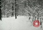 Standbild Schneebedeckter Wald mit Schnee fallen New York United States USA, 1919, aus Sekunde 54 historischem Filmmaterial Videoclip 65675078142