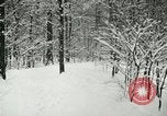 Standbild Schneebedeckter Wald mit Schnee fallen New York United States USA, 1919, aus Sekunde 55 historischem Filmmaterial Videoclip 65675078142