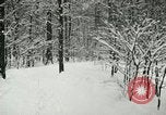 Standbild Schneebedeckter Wald mit Schnee fallen New York United States USA, 1919, aus Sekunde 56 historischem Filmmaterial Videoclip 65675078142
