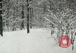 Standbild Schneebedeckter Wald mit Schnee fallen New York United States USA, 1919, aus Sekunde 57 historischem Filmmaterial Videoclip 65675078142