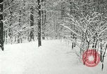 Standbild Schneebedeckter Wald mit Schnee fallen New York United States USA, 1919, aus Sekunde 58 historischem Filmmaterial Videoclip 65675078142