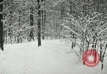 Standbild Schneebedeckter Wald mit Schnee fallen New York United States USA, 1919, aus Sekunde 59 historischem Filmmaterial Videoclip 65675078142