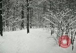 Standbild Schneebedeckter Wald mit Schnee fallen New York United States USA, 1919, aus Sekunde 60 historischem Filmmaterial Videoclip 65675078142