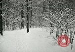 Standbild Schneebedeckter Wald mit Schnee fallen New York United States USA, 1919, aus Sekunde 61 historischem Filmmaterial Videoclip 65675078142