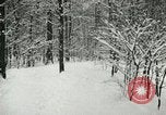 Standbild Schneebedeckter Wald mit Schnee fallen New York United States USA, 1919, aus Sekunde 62 historischem Filmmaterial Videoclip 65675078142