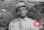 Standbild Negro Kräfte in der US-Militärs United States USA, 1917, aus Sekunde 32 historischem Filmmaterial Videoclip 65675078145