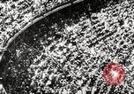 Image of Jesse Owens Berlin Germany, 1945, second 11 stock footage video 65675078147
