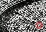 Image of Jesse Owens Berlin Germany, 1945, second 12 stock footage video 65675078147