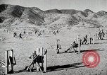 Image of African Americans United States USA, 1945, second 3 stock footage video 65675078150