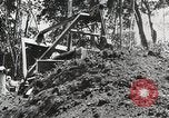 Standbild Afroamerikanische Soldaten in Zweiter Weltkrieg United States USA, 1945, aus Sekunde 51 historischem Filmmaterial Videoclip 65675078152