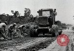 Standbild Afroamerikanische Soldaten in Zweiter Weltkrieg United States USA, 1945, aus Sekunde 56 historischem Filmmaterial Videoclip 65675078152
