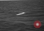 Standbild Präsident Roosevelt Port Arkansas Texas USA, 1937, aus Sekunde 19 historischem Filmmaterial Videoclip 65675078160