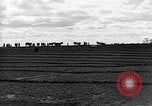 Image of international meet Ottawa Ontario Canada, 1932, second 13 stock footage video 65675078166