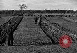 Image of international meet Ottawa Ontario Canada, 1932, second 31 stock footage video 65675078166