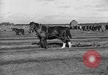 Image of international meet Ottawa Ontario Canada, 1932, second 32 stock footage video 65675078166