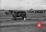 Image of international meet Ottawa Ontario Canada, 1932, second 33 stock footage video 65675078166