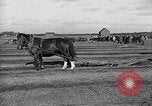 Image of international meet Ottawa Ontario Canada, 1932, second 34 stock footage video 65675078166