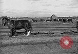 Image of international meet Ottawa Ontario Canada, 1932, second 35 stock footage video 65675078166