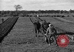 Image of international meet Ottawa Ontario Canada, 1932, second 37 stock footage video 65675078166