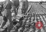 Image of international meet Ottawa Ontario Canada, 1932, second 47 stock footage video 65675078166