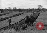 Image of international meet Ottawa Ontario Canada, 1932, second 59 stock footage video 65675078166