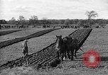 Image of international meet Ottawa Ontario Canada, 1932, second 60 stock footage video 65675078166