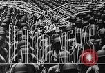 Image of Allied bombing of Dresden in World War II Dresden Germany, 1945, second 15 stock footage video 65675078173