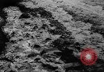 Image of Allied troops Germany, 1945, second 7 stock footage video 65675078177