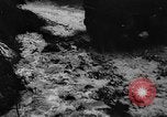 Image of Allied troops Germany, 1945, second 10 stock footage video 65675078177