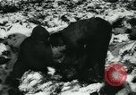 Standbild Battle of Bulge europäische Theater, 1945, aus Sekunde 28 historischem Filmmaterial Videoclip 65675078190